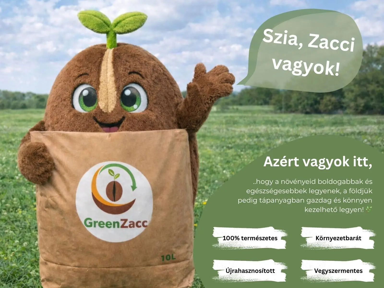 GreenZacc - Zacci bemutatkozója
